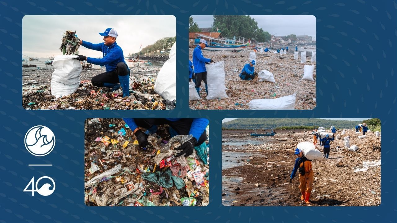 How 4ocean Operates 