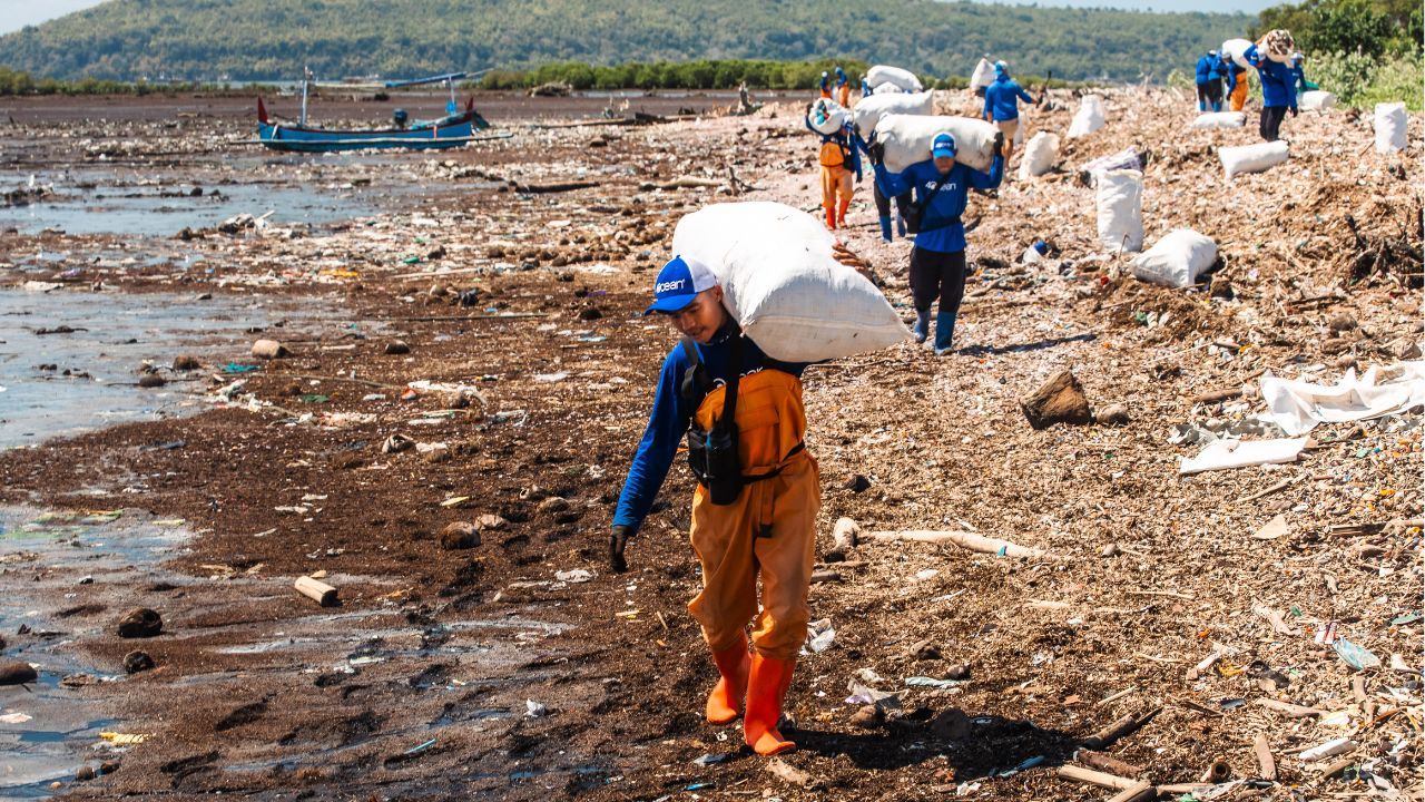 Wave Users Help Remove 40,011 Pounds of Trash from the Ocean 