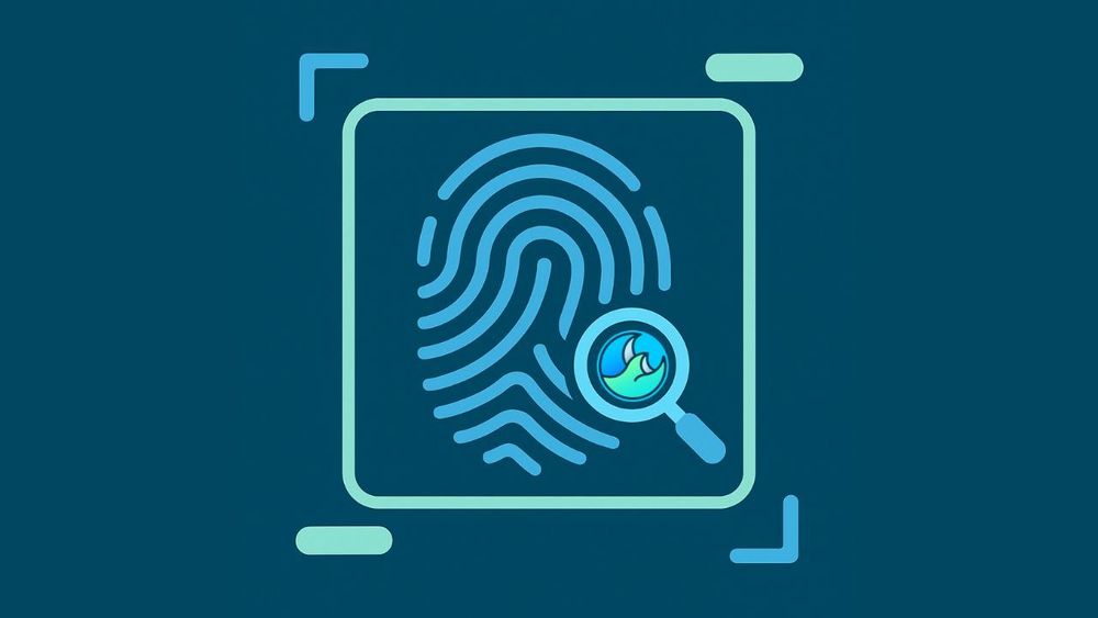 Digital fingerprints