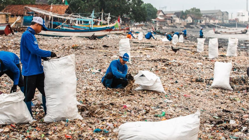 plastic decompose